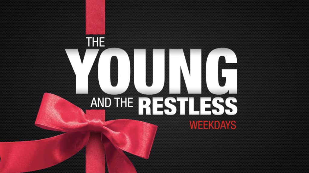 The Young and The Restless Poll: What Was The Top Y&R Story Of 2019?