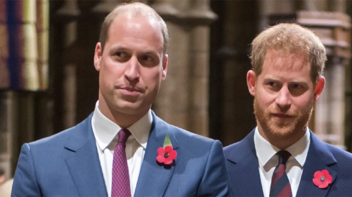 Prince Harry's Decision to Smooth Rift with Prince William? Time and Space Could Repair Relationship