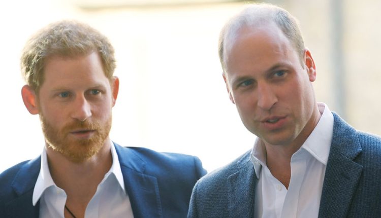 prince-harry-prince-william-bullying1