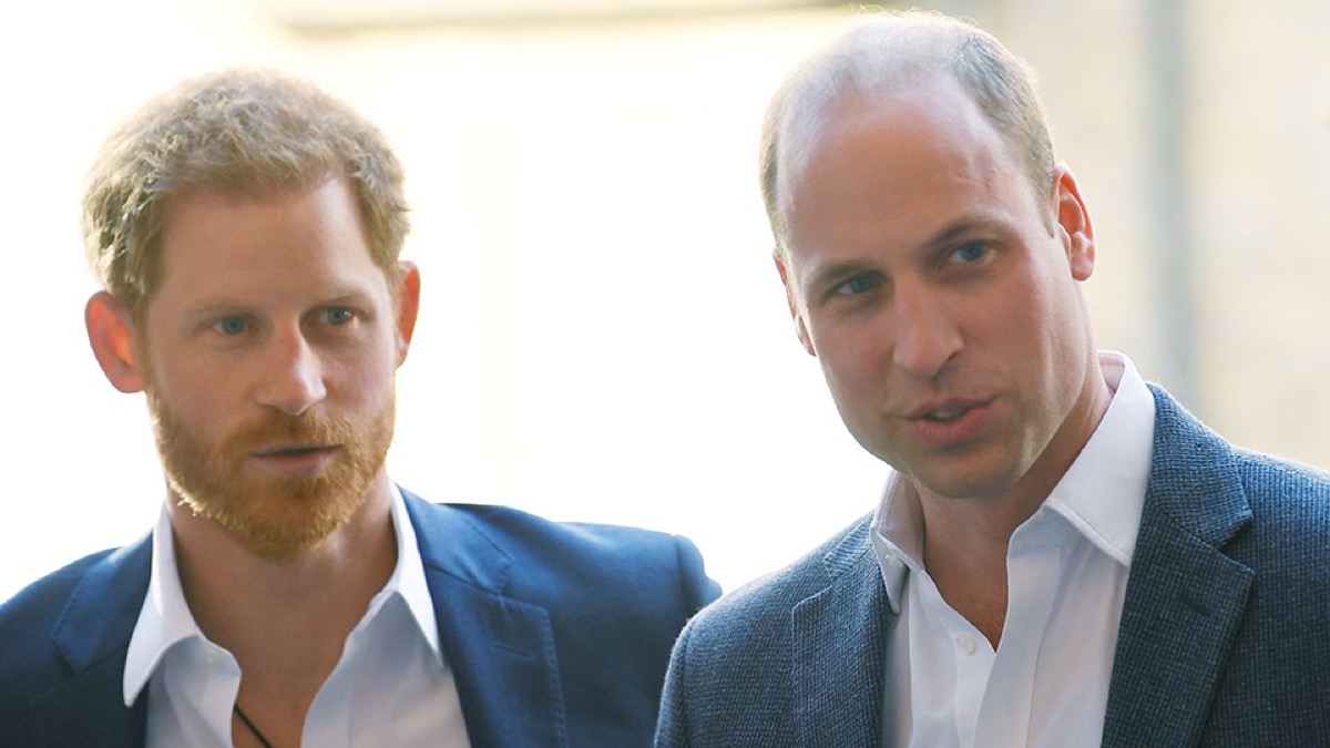 Prince William and Prince Harry Say Bullying Story is Not True