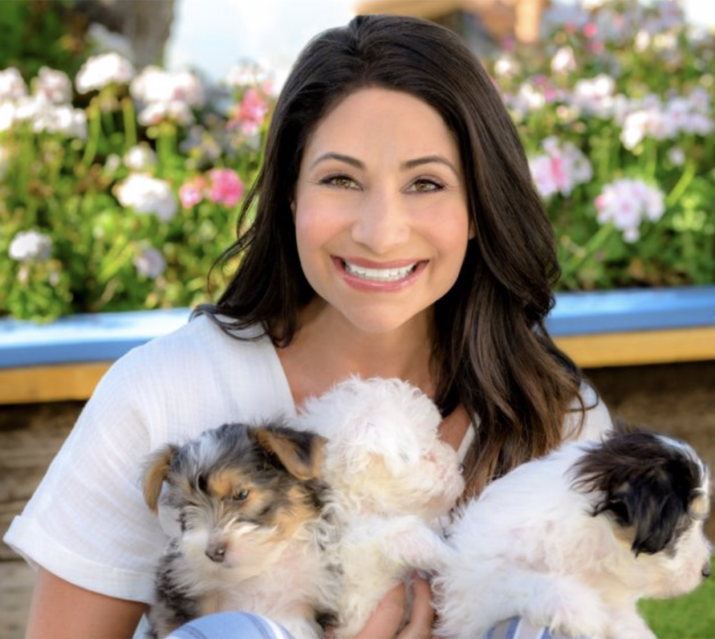 Hallmark Channel News: It’s Raining Cute Cats and Dogs On Hallmark In February 2020