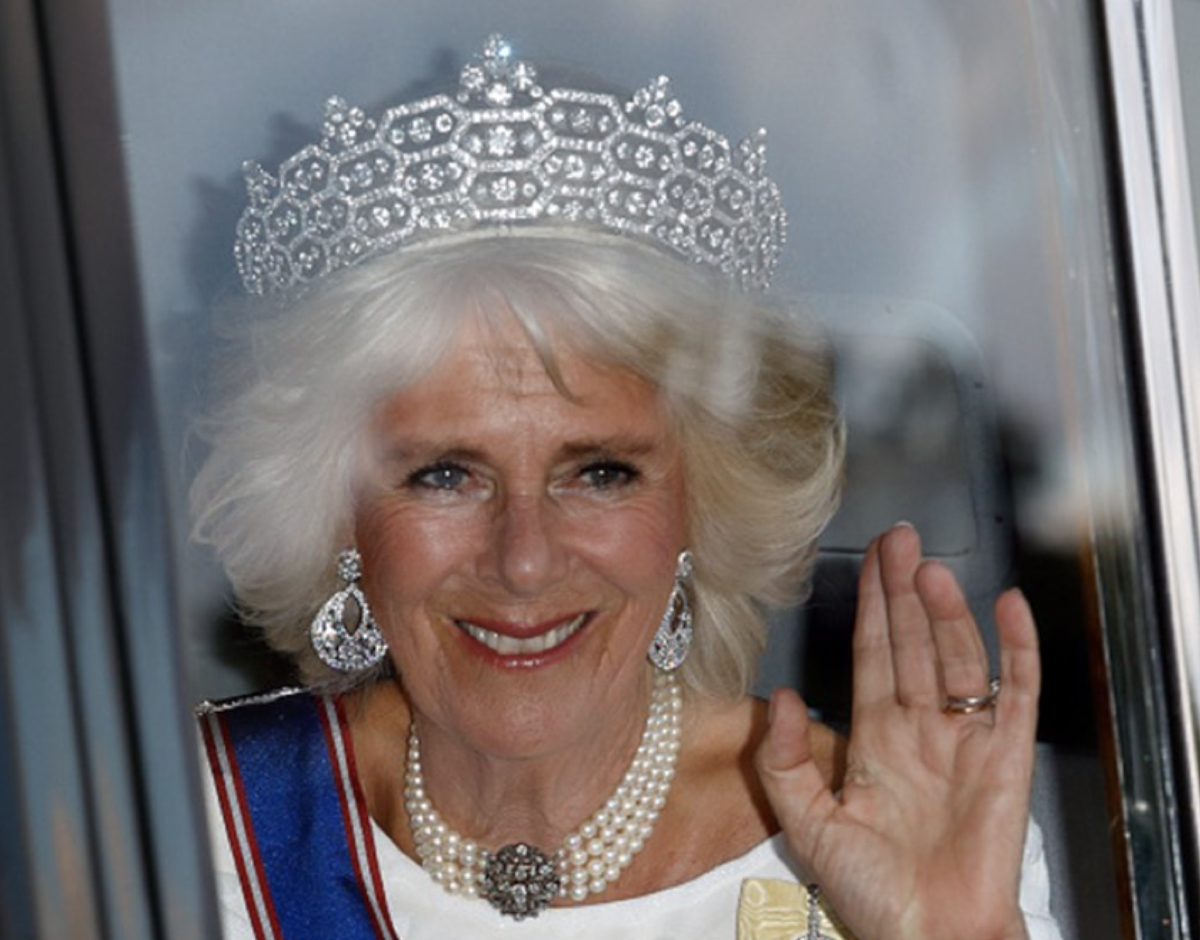 Camilla Parker-Bowles Never Wanted To Be Princess of Wales