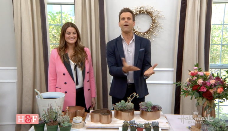 Hallmark-channel-news-DIY1