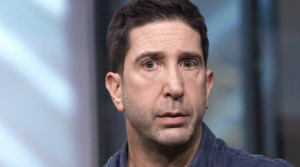 David Schwimmer Breaks His Silence on Friends Reunion Show News