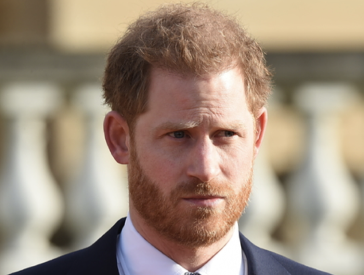 Prince Harry Never Wanted to Move to Canada?