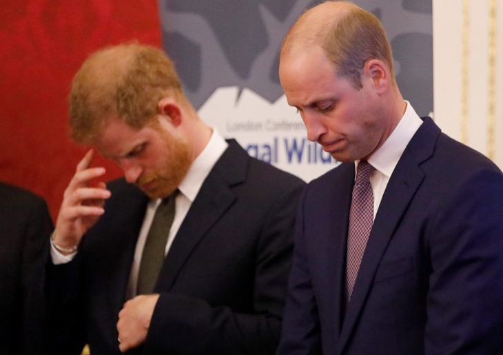 Prince Harry and Prince William Communicating Again But Have 'Awkward' Conversations