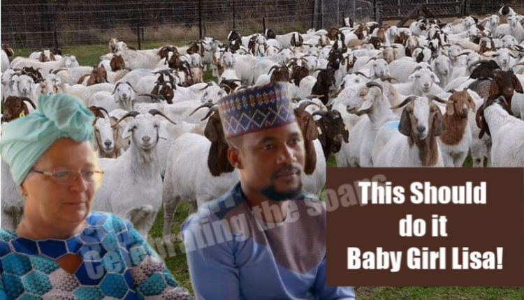 Goat-Farming-business-780×440