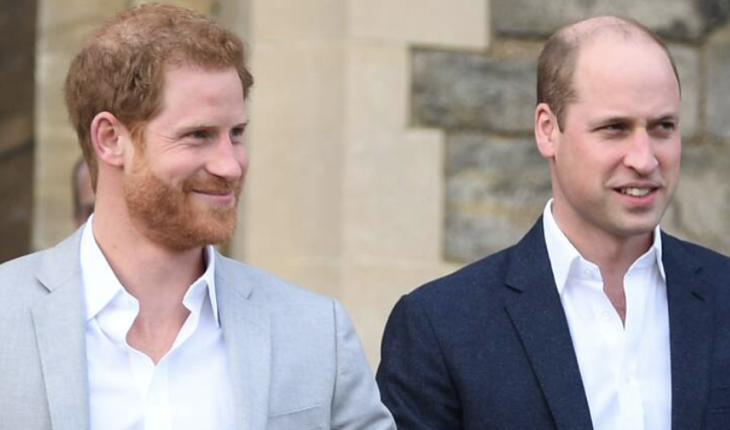 Prince-harry-prince-william1