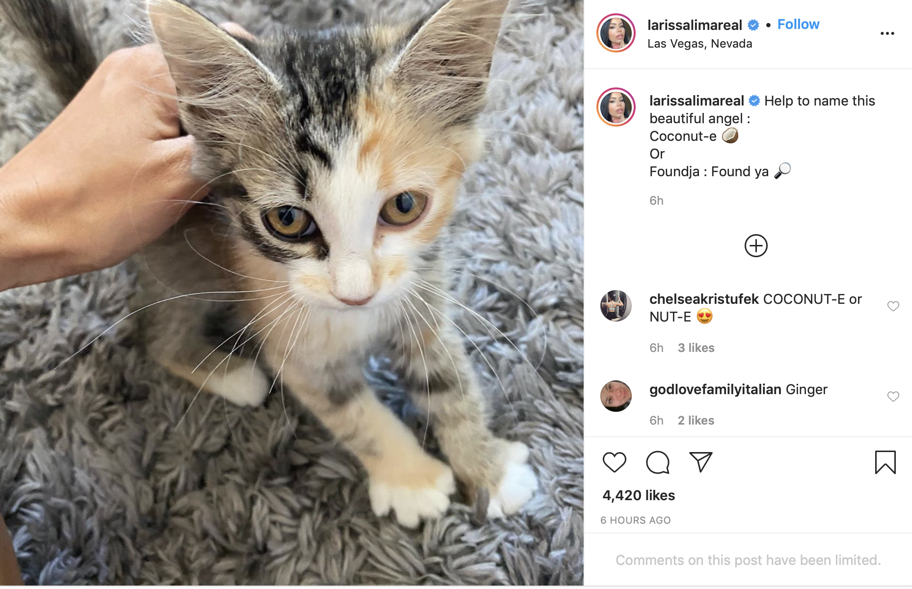 TLC '90 Day Fiance – Happily Ever After?' Spoilers - Larissa Dos Santos Wants Fans To Help Her Name Her New Furbaby!