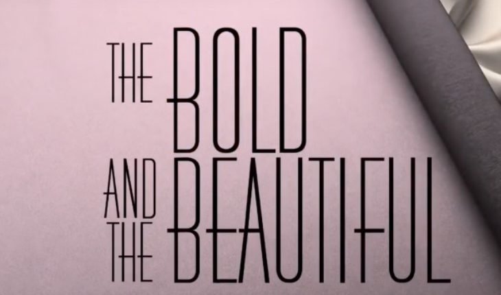 The Bold And The Beautiful (730 x 522)