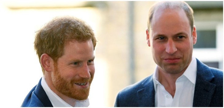 Prince William told Prince Harry his idea to be a part-time royal was ...