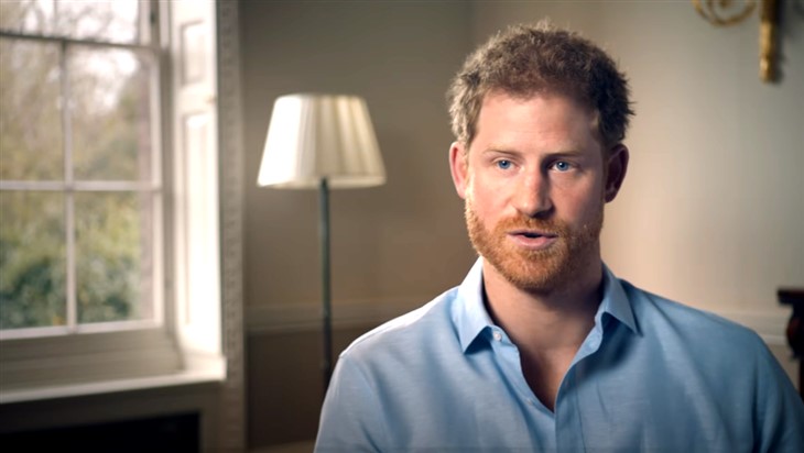 Prince Harry Scolded By Queen Elizabeth For Angry Outburst – But New Biography Tells A Different Tale