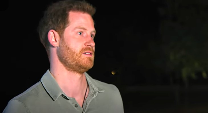 Prince Harry Goes Berzerk Over Paparazzi Bikini Photos Of Meghan