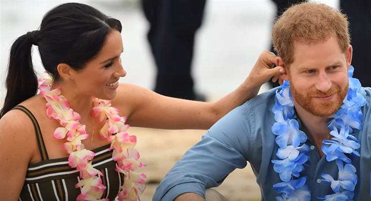 Meghan Markle And Prince Harry’s Luxurious Mooching Revealed – Private Jets, Rent Free Palatial Living