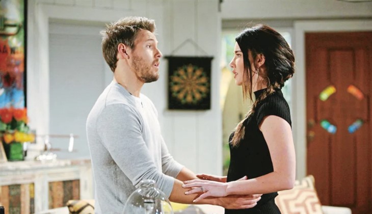 The Bold And The Beautiful Spoilers: Steffy Forrester Blames Liam For