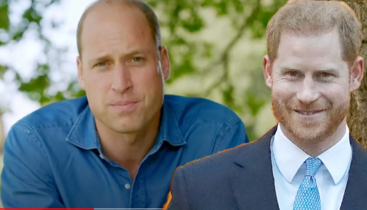 Prince-william-prince-harry1