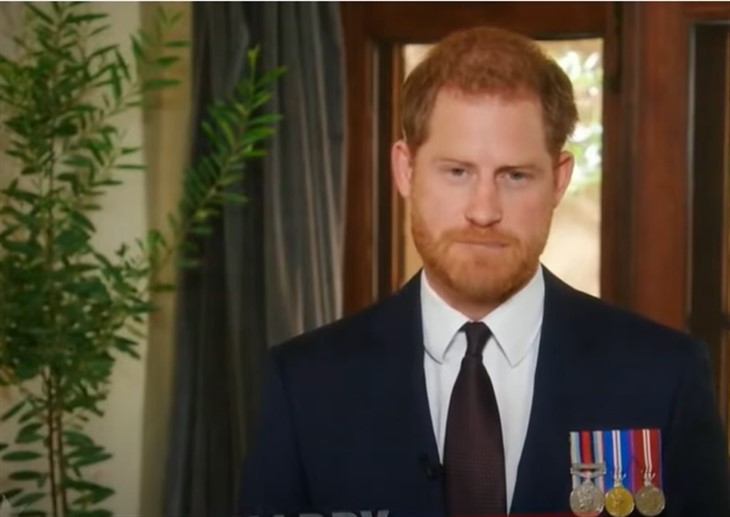 Royal Family News: Sorry Prince Harry – Netflix Wants To Show You And Prince William On The Crown As Adults