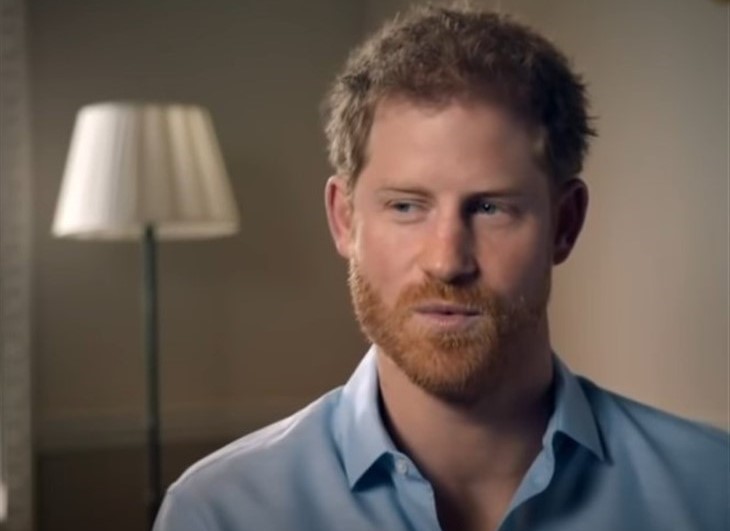 Royal Family News: Prince Harry Called “An Airy-Fairy Do-gooder” By Biographer