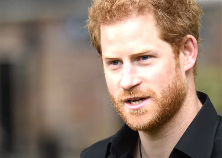 Royal Family News: Prince Harry Using “Diana Legacy” To Sell His Brand