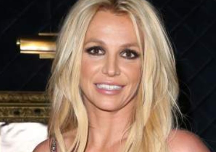 Britney Spears Can Take Control Of Her Assets When She Wants Says Dad's Legal Team