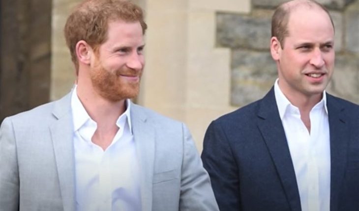 Prince William And Prince Harry