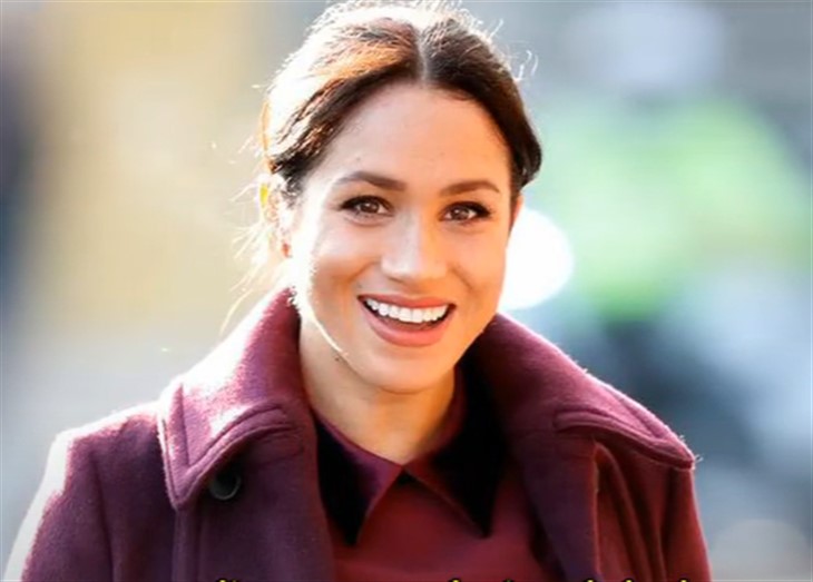 Royal Family News: Meghan Markle Accused Of “Ripping Off” A Children’s Book With Similar Title