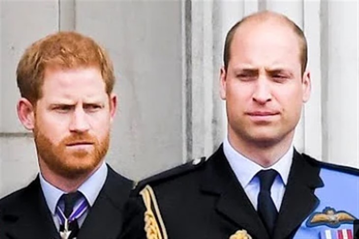 Royal Family News: Prince Harry And William Not Coming Together For Diana Statue Unveiling