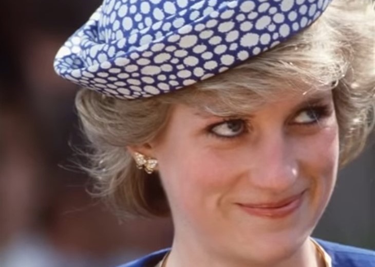Princess Diana Would Be Very Upset By Prince William And Harry Battle