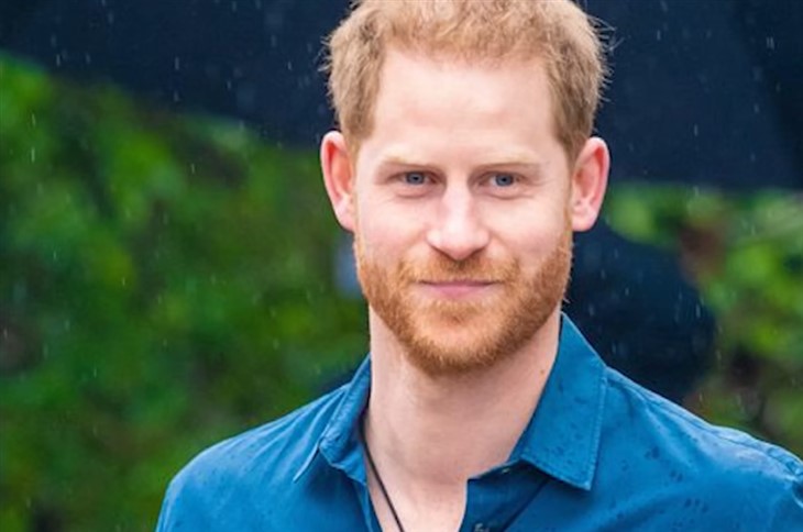 Royal Family News: Prince Harry “Doesn’t Need The Queen's Permission