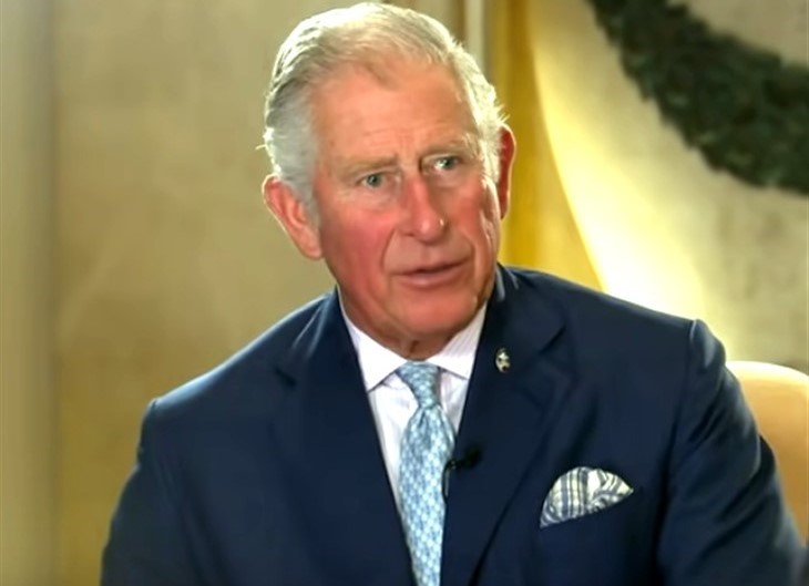 Prince Charles Will Advise Prince Andrew To Permanently Resign His Royal Duties?