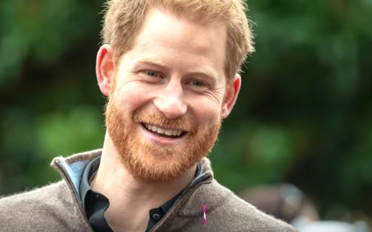 Royal Family Appalled By Prince Harry’s Behavior After Royal Family Exit