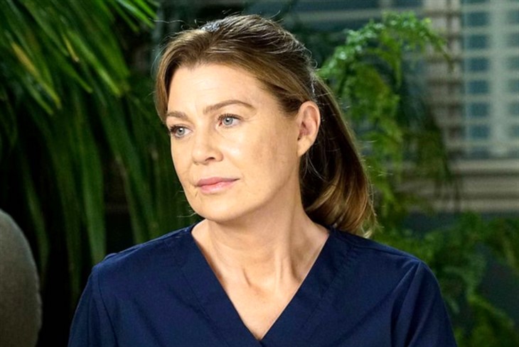 Grey's Anatomy: Ellen Pompeo 