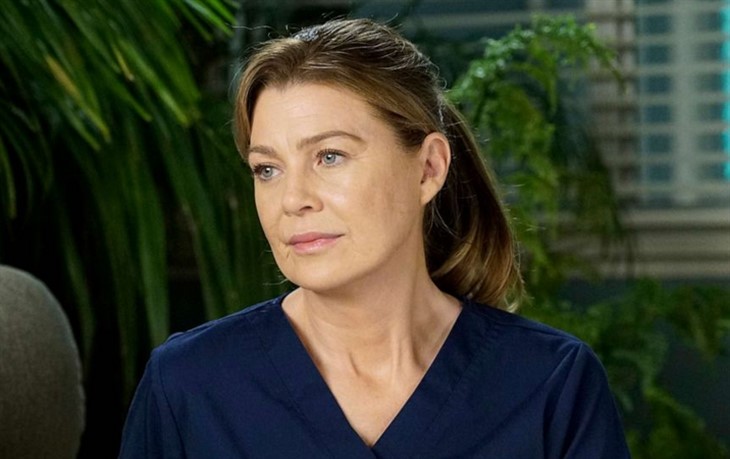 Grey s Anatomy: Ellen Pompeo 