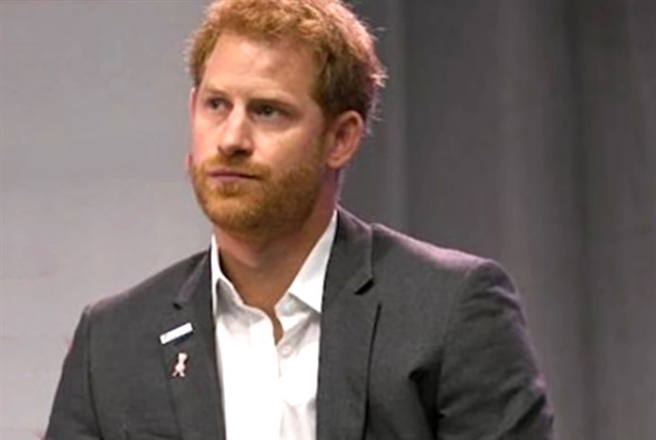 Prince Harry Pal Netflix Defies Prince William Over Diana Panorama Interview