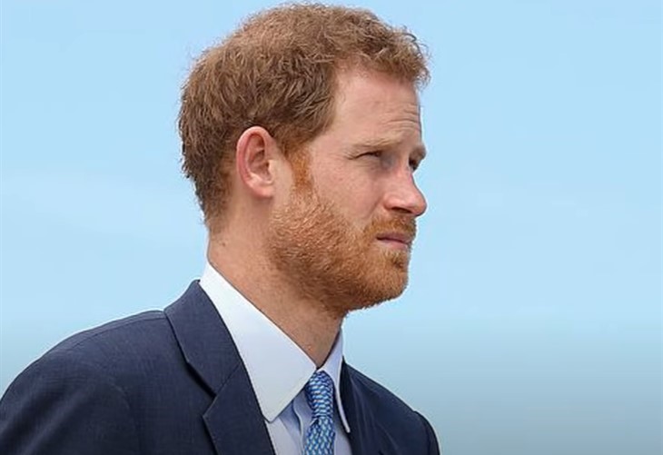  Prince Harry 