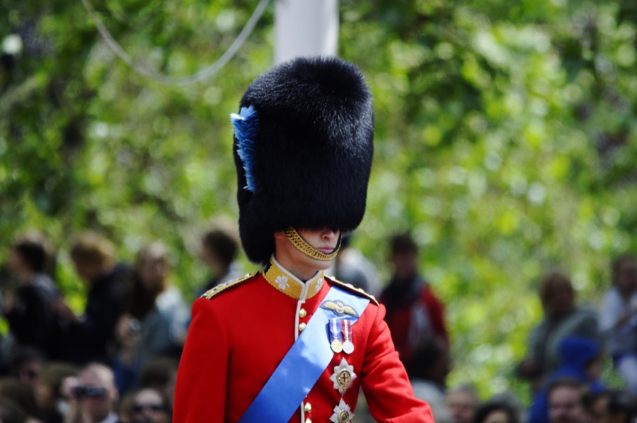 Royal Family News: Allegations That William's Horse Drugged For Trooping the Colour Rehearsals