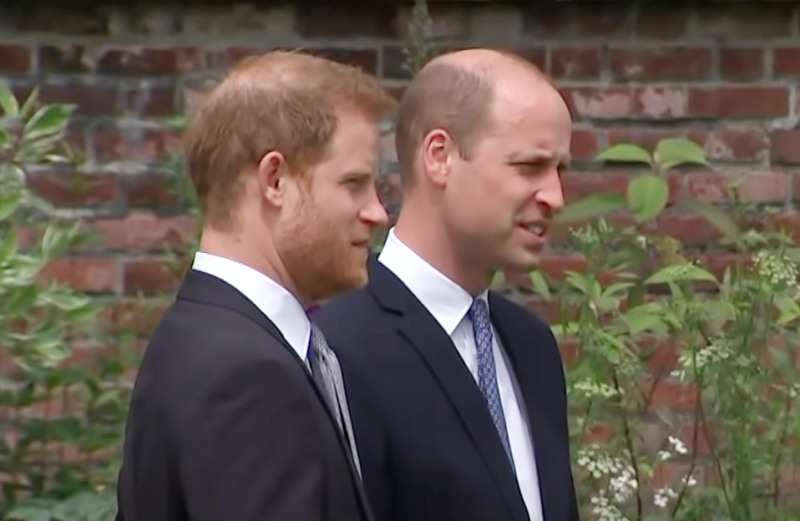 Prince William And Harry Did Not Have Time For Chit-Chats!