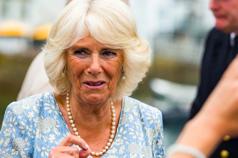 Camilla, Duchess of Cornwall Finally Speaks Up About Public Vitriol Against Her