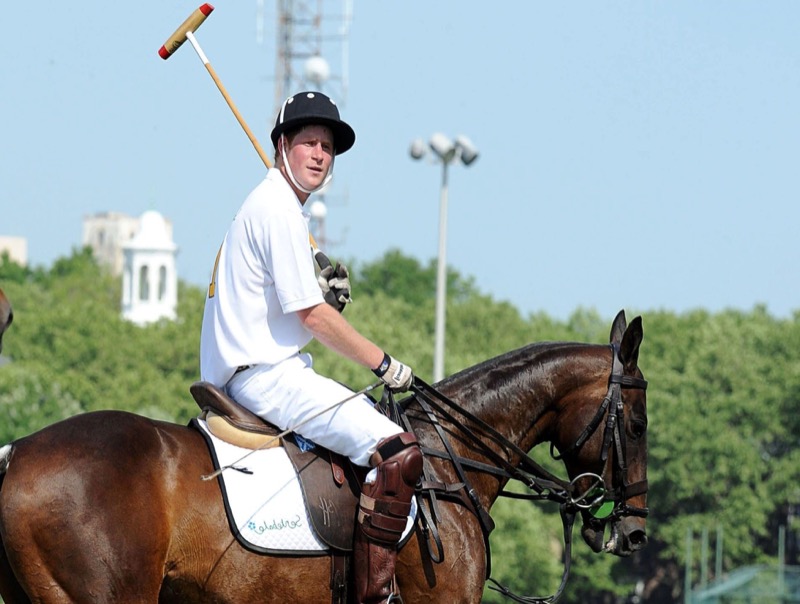 Royal Family News: If Harry Thinks Riding Polo Horses Is Carrying On Diana's Legacy, Think Again