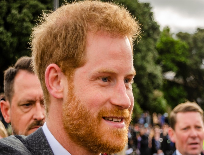 Royal Family News: Here's Why Shady Prince Harry Is More Of A Danger To The Royals Than Disgraced Andrew