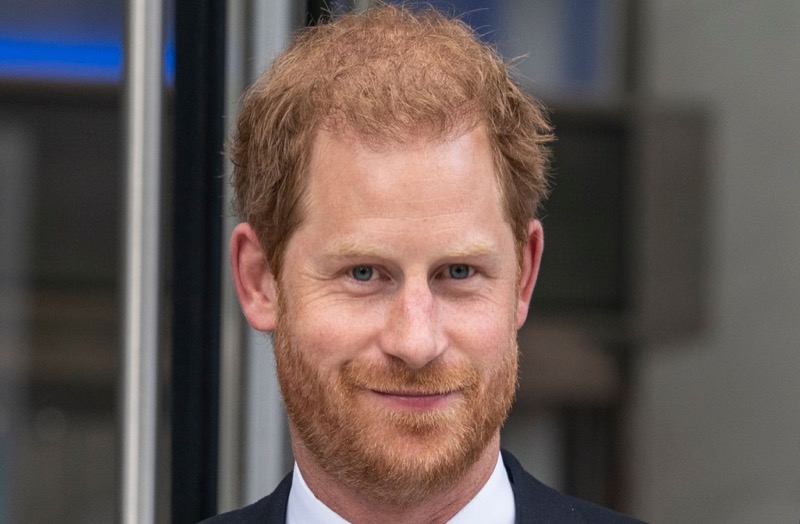 Prince Harry Is Willing To Give Up His Titles To Support Meghan Markle In Politics