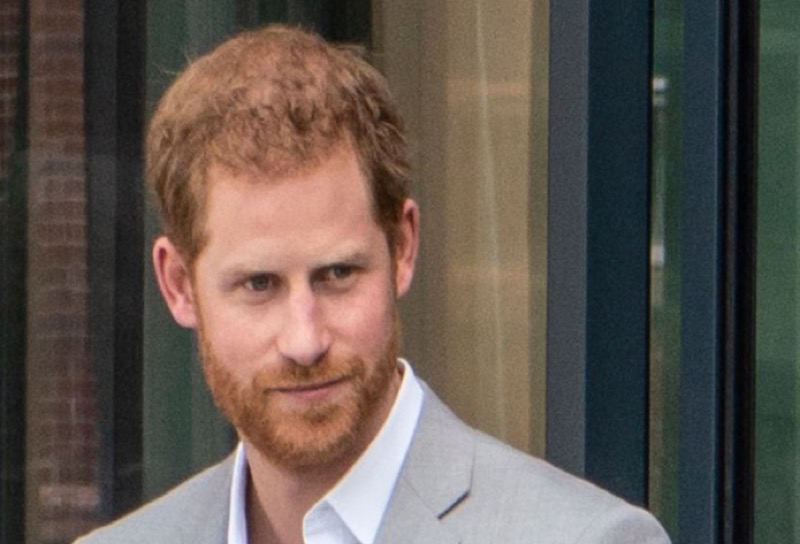 Prince Harry Sees Princess Diana's Legacy In His Children