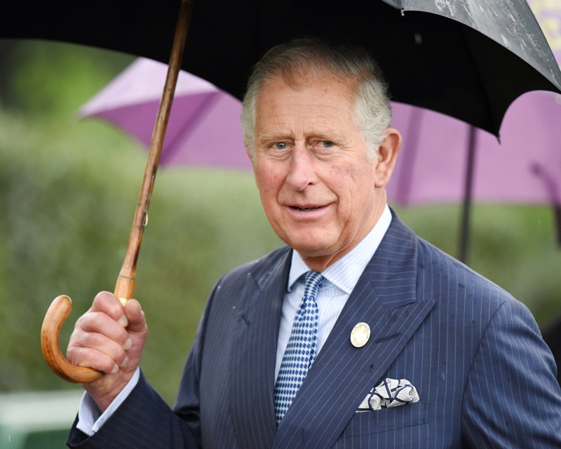 Royal Family News: Prince Charles Desperate To Get Harry And Meghan Back To The Monarchy For Their “Youth Appeal”