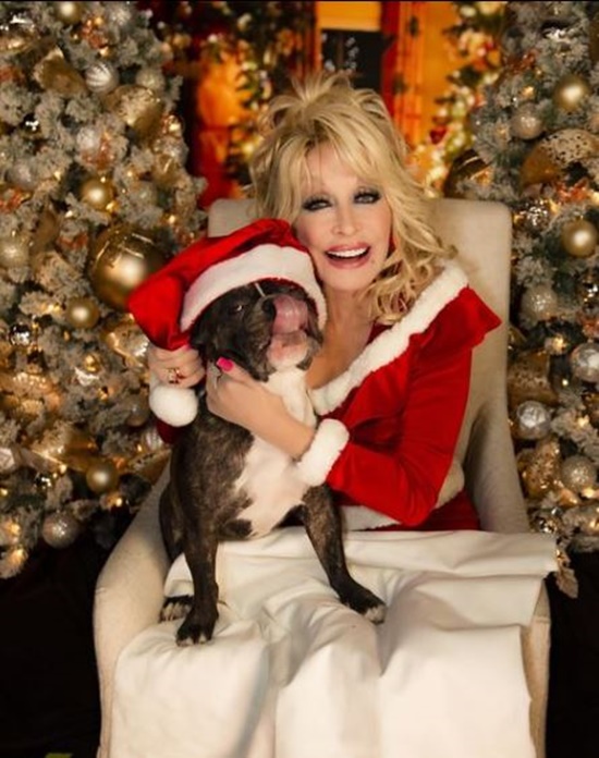 Dolly Parton Launches Doggy Parton Accessory Line