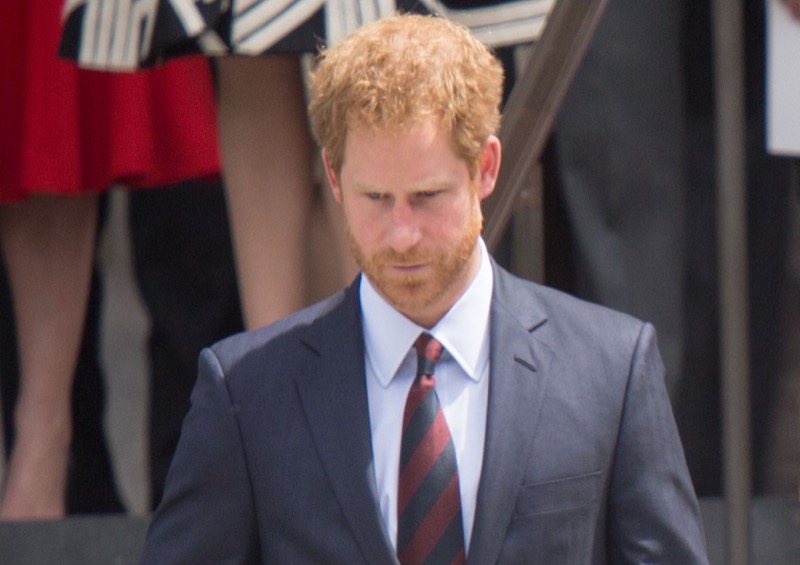 Royal Family News: Prince Harry Vents Against William in His Memoir, Has “Poison in His Blood?”