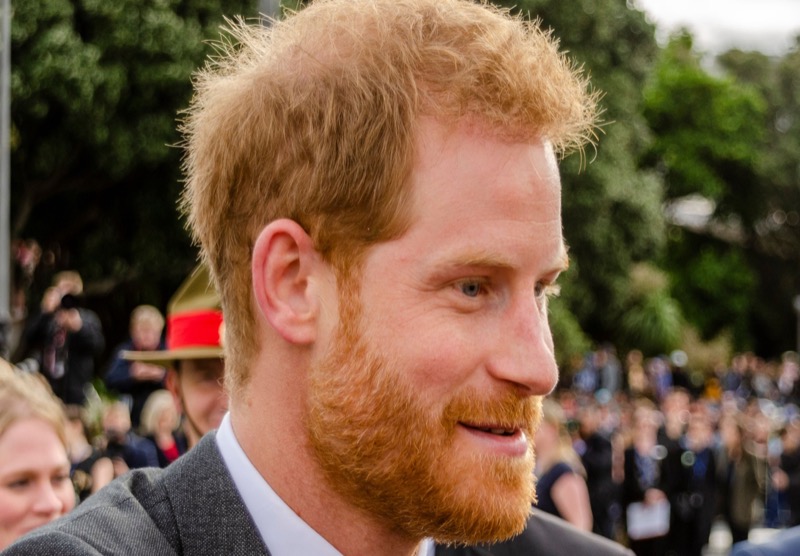 Royal Family News: Prince Harry’s Memoir Aimed At “Destroying” Prince William?