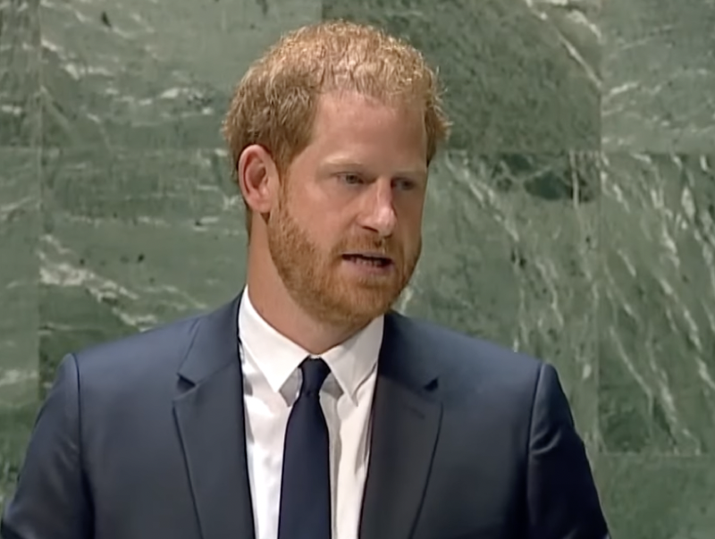 Royal Critics Are Now More Concerned Than Ever About Prince Harry After His UN Speech