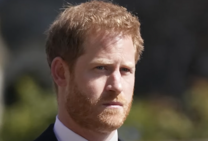 Confusion Soars Over Prince Harry's Right To Give Keynote Speech At UN Function Honoring Nelson Mendela