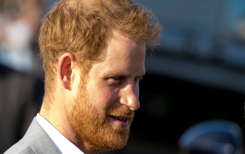 British Royal News: Prince Harry ‘Unqualified’ To Speak At UN So Says Royal Expert