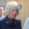Royal Family News: Camilla Guilty Of Joking Archie Would Sport A “Ginger Afro” Claims Bombshell Biography